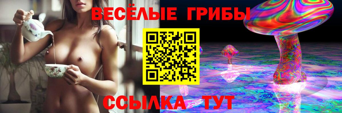 Галлюциногенные грибы GOLDEN TEACHER  Вход с VPN  Галлюциногенные грибы Magic Shrooms  Менделеевск 